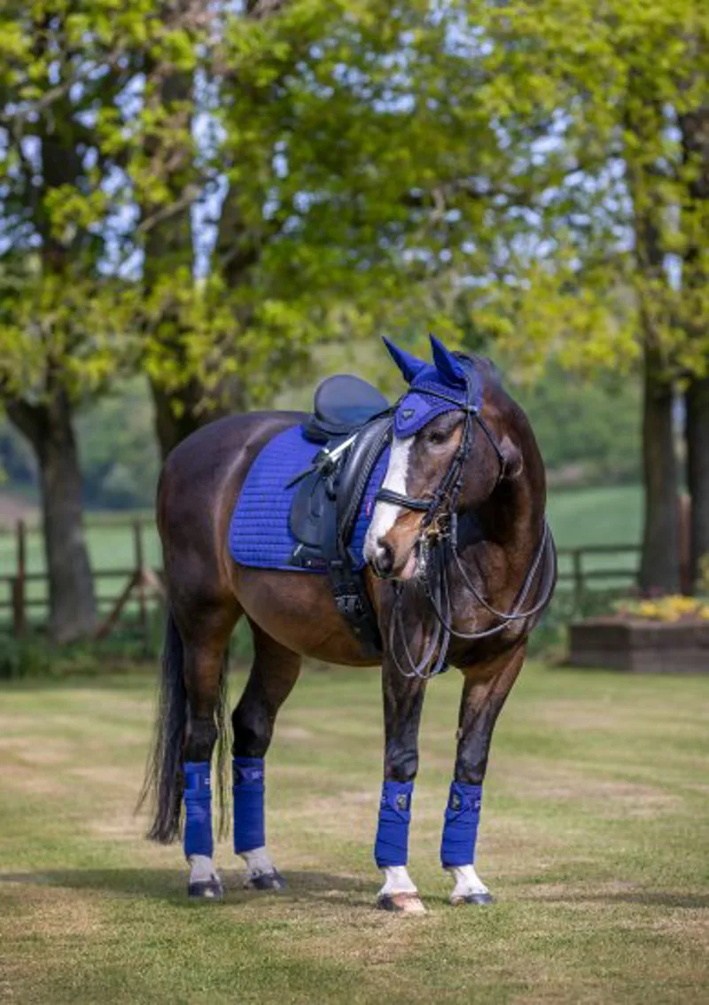 LeMieux ProSport Suede Dressage Square - Ink Blue-3